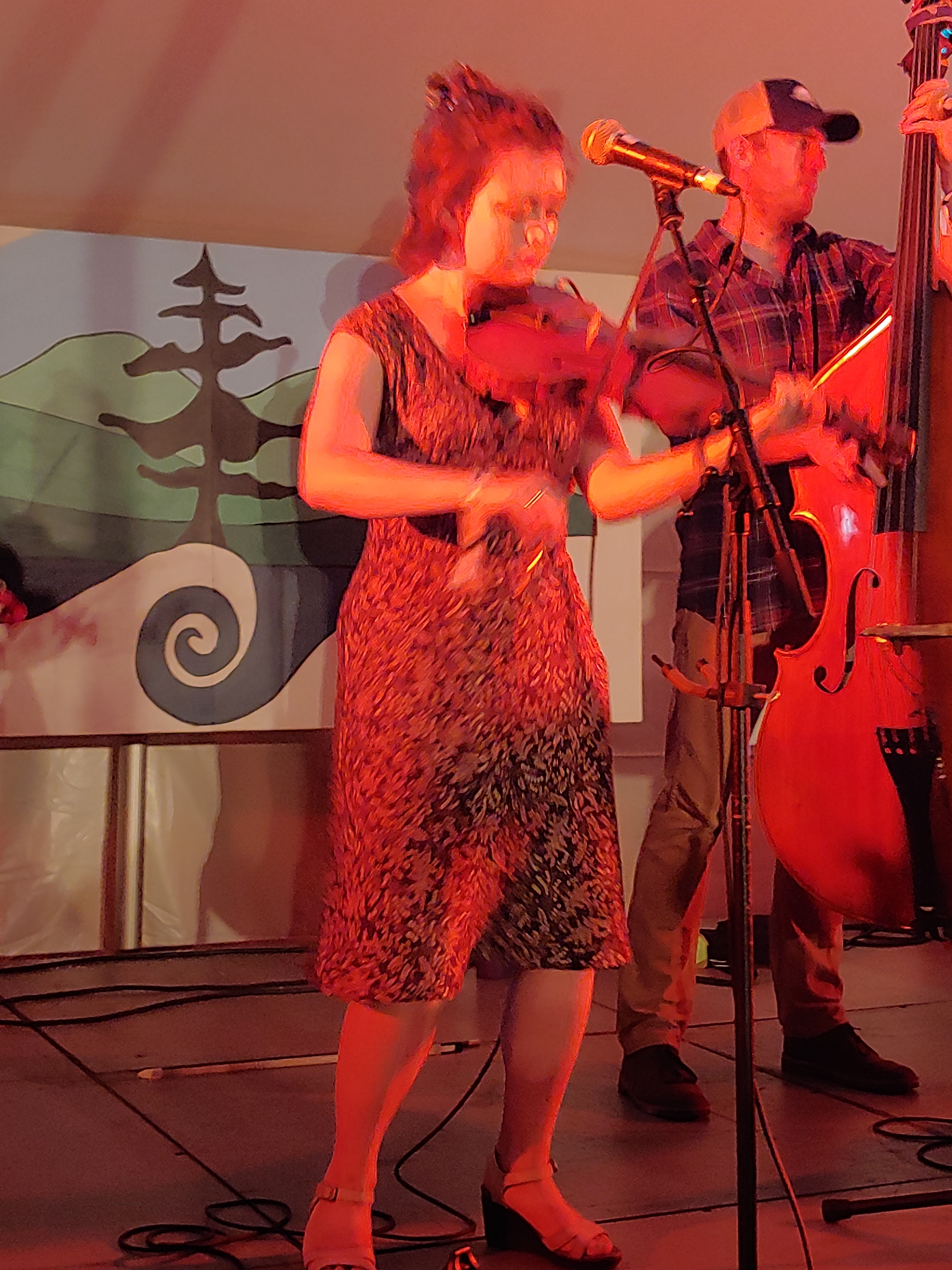 TwistedPine2018-08-16GreenMountainBluegrassAndRootsFestivalManchesterVT (2).jpg